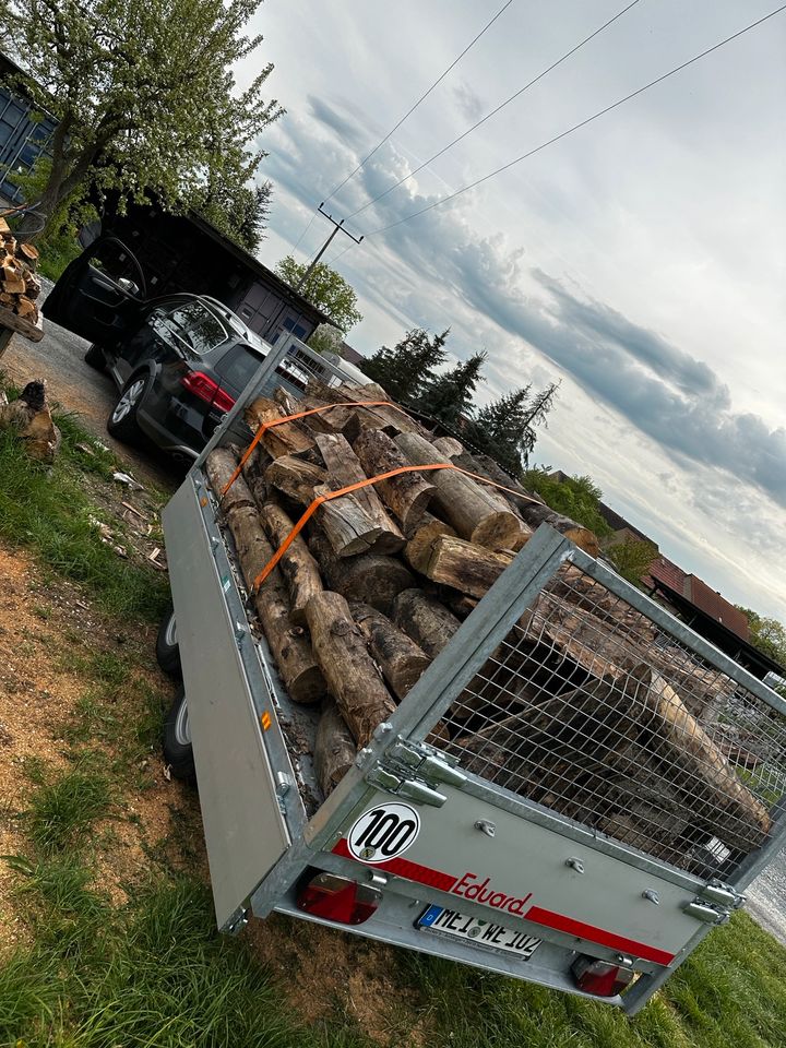 Eduard Kipper – Bild 8